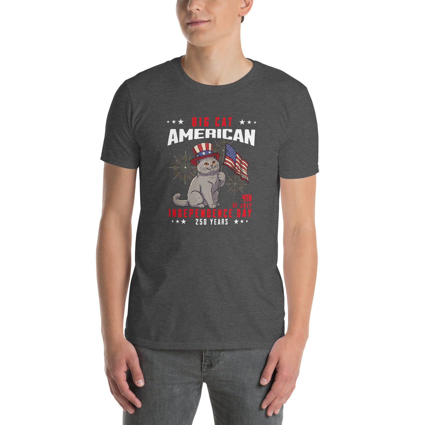 Cat themed graphic tee with USA 250th anniversary Independence Day print